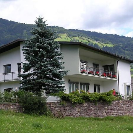 Haus Wieser Apartment Лиенц Екстериор снимка